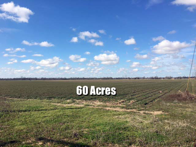 Photo of 60 Acre Plot